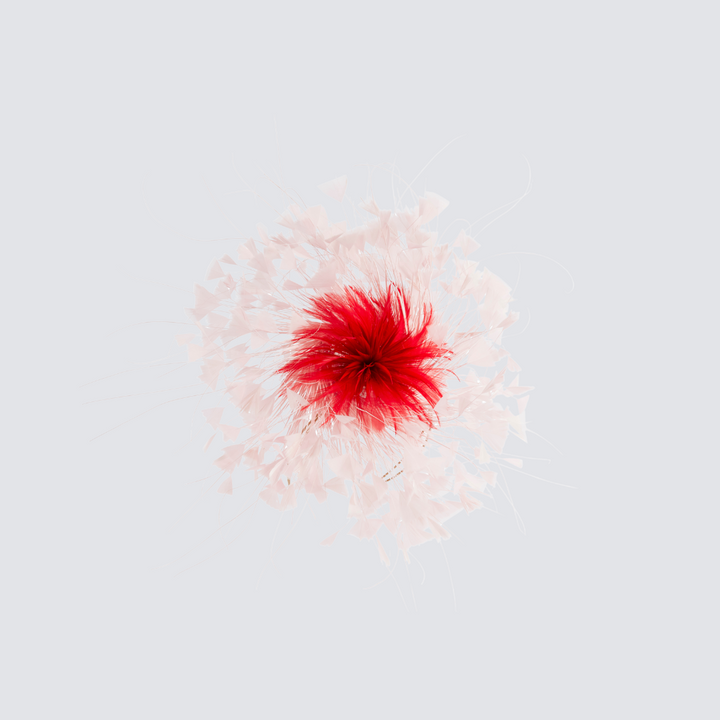 Katherine Wheel Hire - Pink and Red