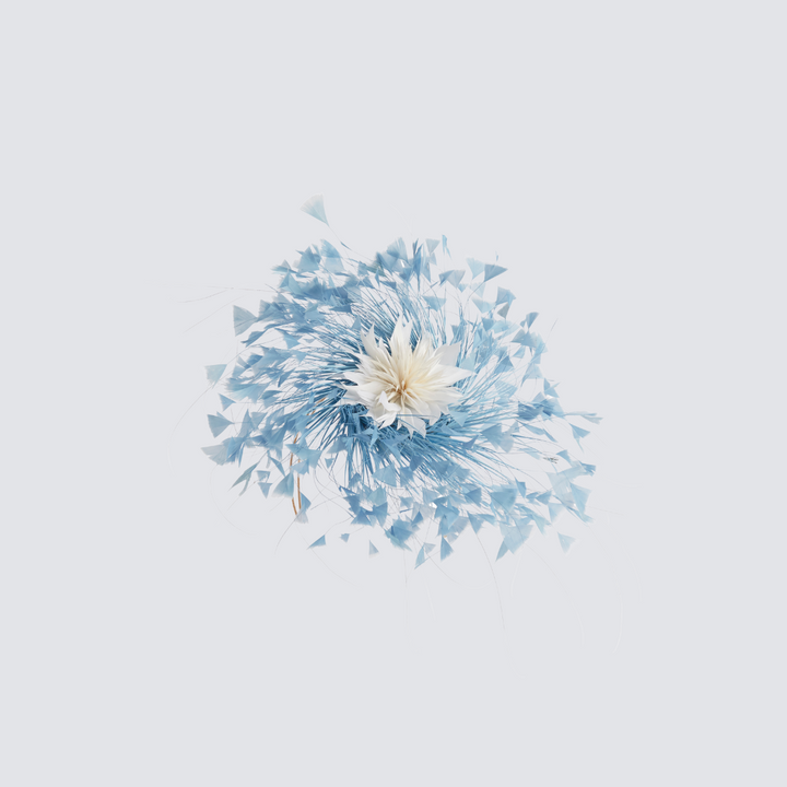 Katherine Wheel Hire - Powder Blue