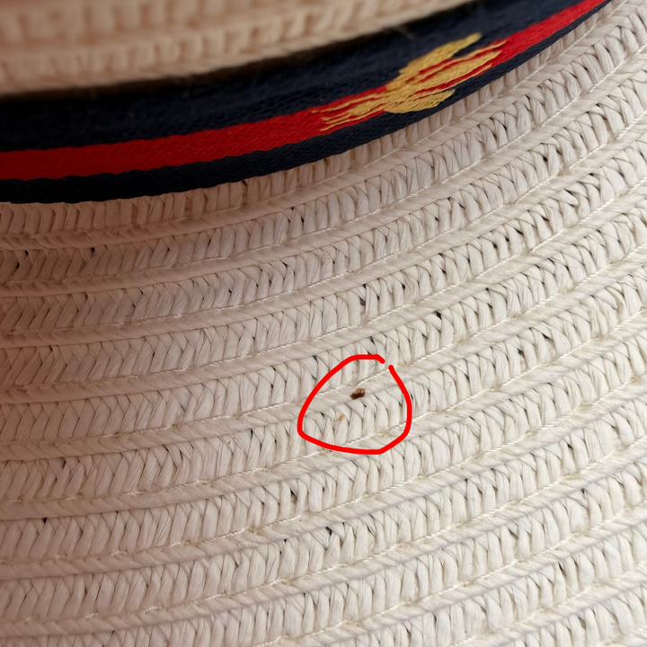 SALE | Ivory World Traveller - Navy/Red Bee [Medium 57cm]