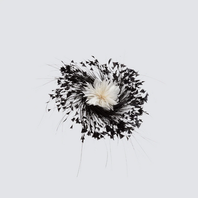 Katherine Wheel - Black and White Hire
