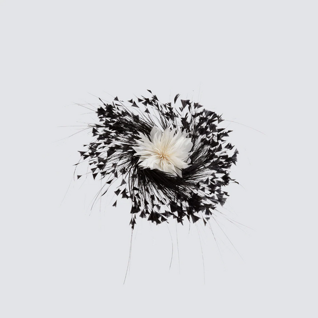 Katherine Wheel - Black and White Hire