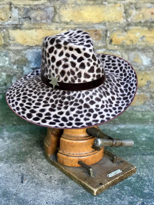 The Cheltenham Leopard