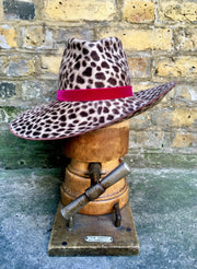 The Cheltenham Leopard