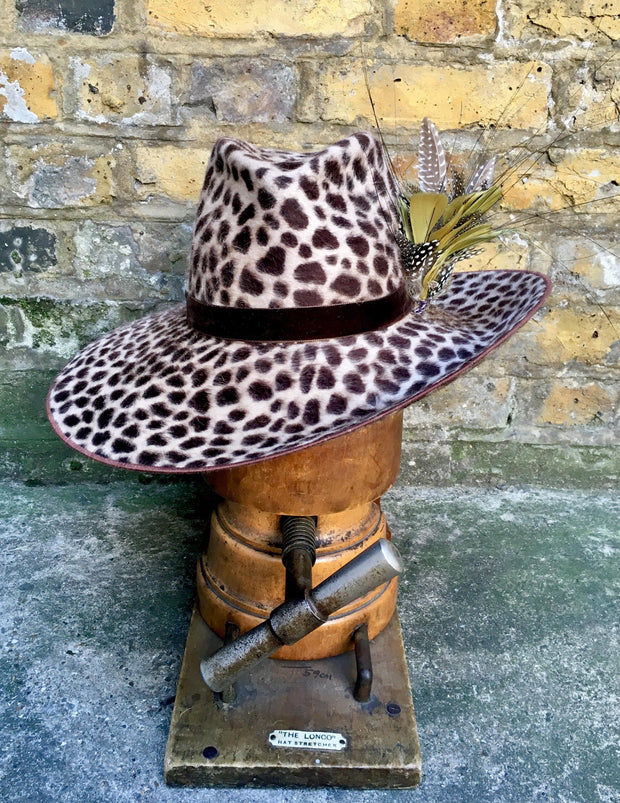 The Cheltenham Leopard